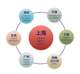 玻璃深加工設(shè)備進(jìn)口報(bào)關(guān)代理與互聯(lián)網(wǎng)信息服務(wù)的融合發(fā)展